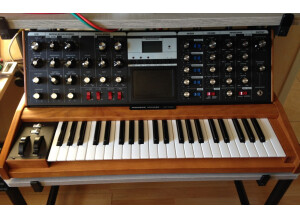 Moog Music Minimoog Voyager Performer Edition (99759)