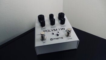 Meris Polymoon : Meris Polymoon 1 Meris Polymoon : Meris Polymoon 1