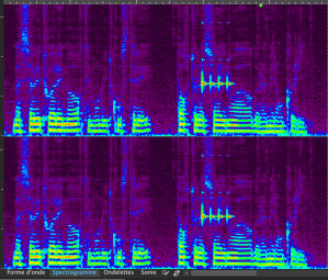 Steinberg WaveLab Pro 9.5 : spectrogramme Steinberg WaveLab Pro 9.5 : spectrogramme