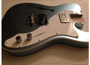 Fender American Elite Telecaster Thinline (35367)