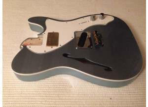 Fender American Elite Telecaster Thinline (70223)