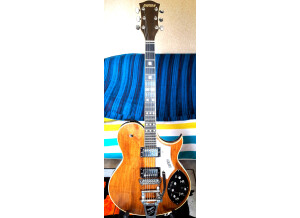 Gretsch Chet Atkins Super Axe 7681 (19078)