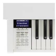 Kawai CN37