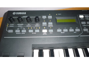 Yamaha KX25