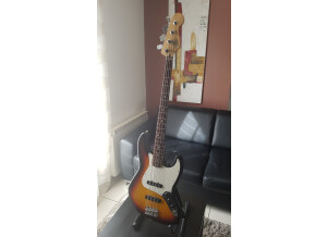 Fender Standard Jazz Bass [2009-Current] (92266)