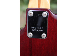 Ibanez SB-70 (23461)