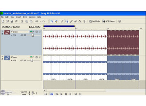 Sonic Foundry Acid Pro 3.0