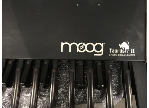 Moog Music The Source (13737)