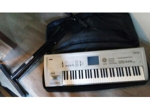 Korg Triton Le 61 (40834)