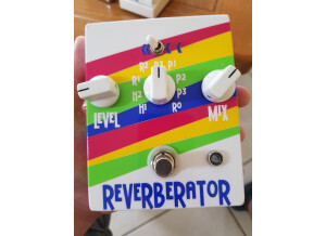 Dr. Scientist Reverberator Custom