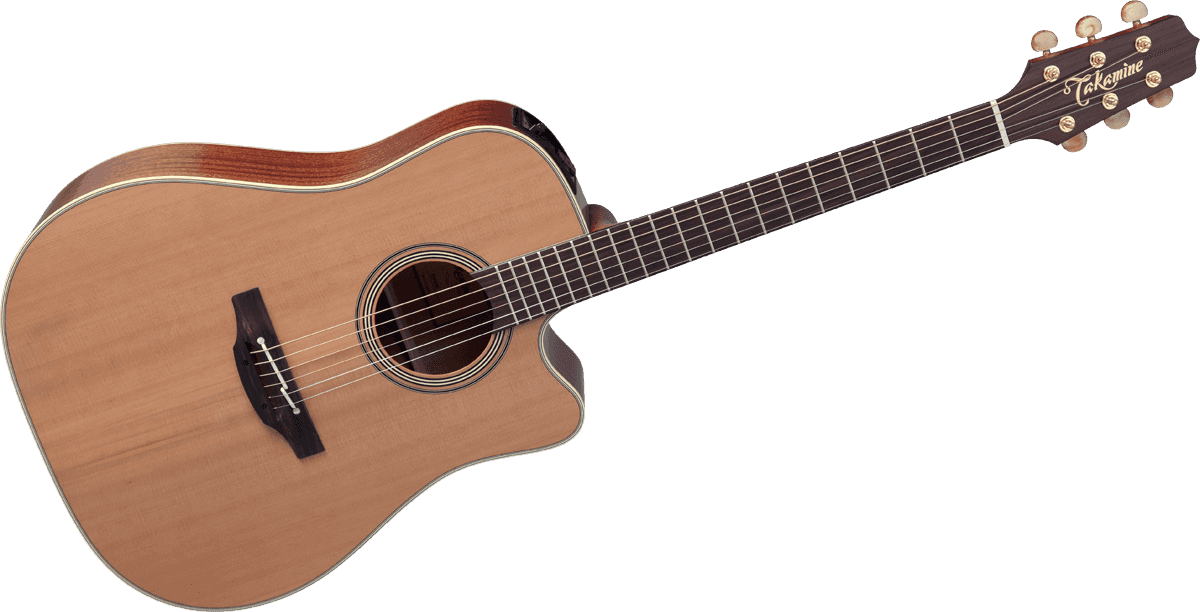 Takamine EN10C [2018-Current] : GTV EN10C B