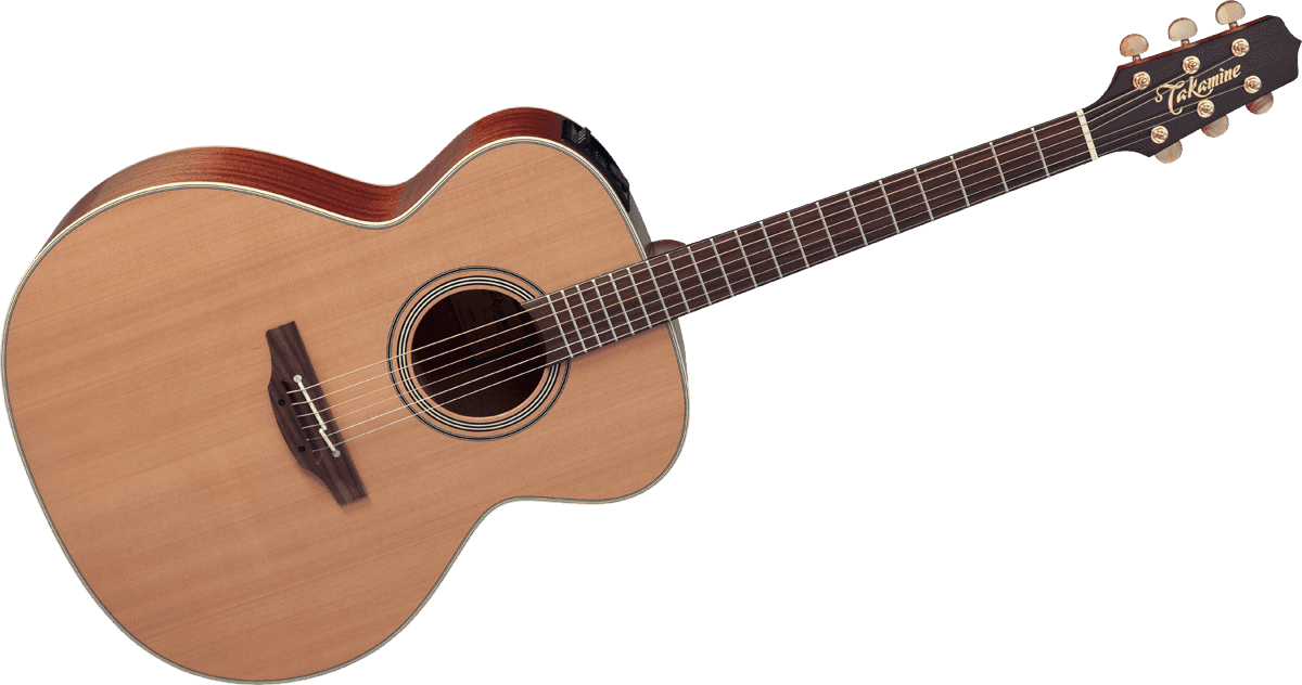 Takamine EN20 [2018-Current] : GTV EN20 B