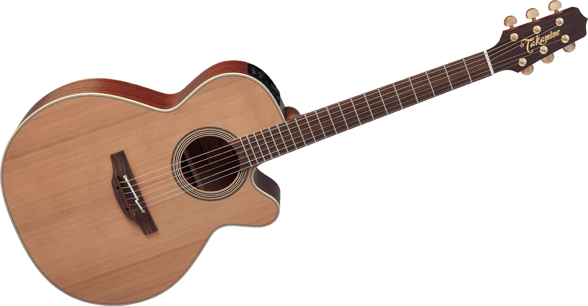 Takamine EN40C [2018-Current] : GTV EN40C B