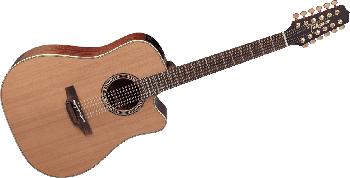 Takamine EN10C-12 [2018-Current] : GTV EN10C 12 B