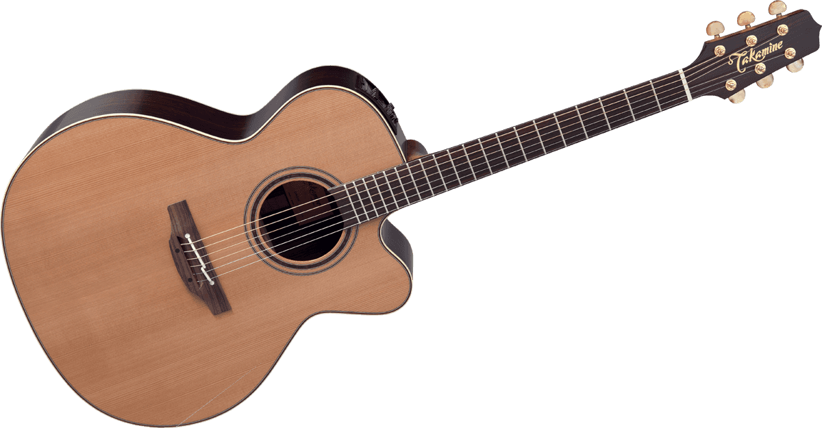 Takamine DN25C : GTV DN25C B