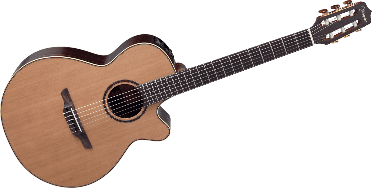 Takamine DN65C : GTV DN65C B