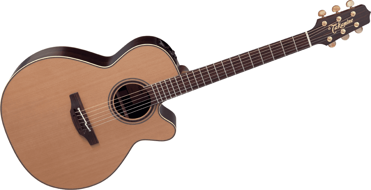 Takamine DN45C : GTV DN45C B