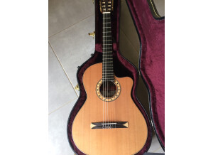 Alhambra Guitars CS-3 CW E5
