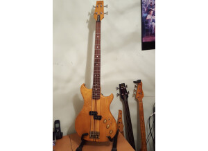 Westone Thunder IA Bass (2251)