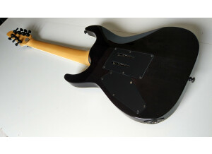 LTD BS-7B QM Ben Savage