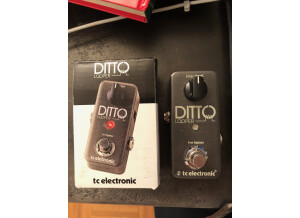 TC Electronic Ditto Looper (20182)