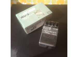 Boss RV-3 Digital Reverb/Delay (64014)