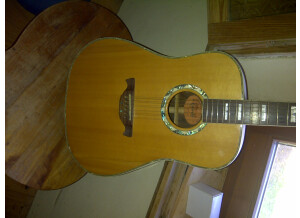 Crafter D 24-12