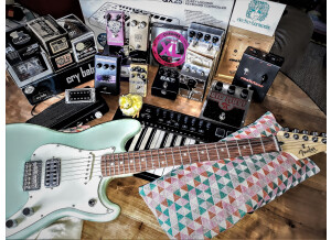 Catalinbread Merkin (3423)