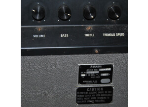 Yamaha RA 100 (96064)
