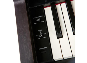 Piano Controls