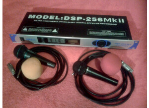BST DSP-256MKII