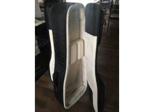 Gator Cases G-PG ELEC 2x (67583)