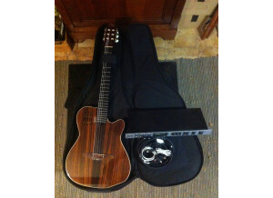 Godin ACS-SA Rosewood (96213)