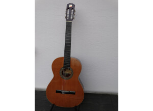 Alhambra Guitars 1 P (81494)