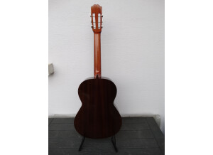 Alhambra Guitars 1 P (69880)