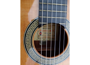 Alhambra Guitars 1 P (36126)