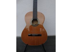 Alhambra Guitars 1 P (43759)