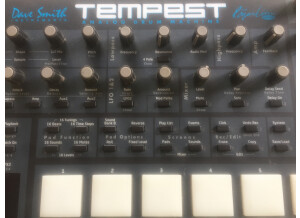 Dave Smith Instruments Tempest (65578)