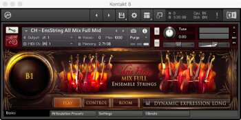 CH EnsString All Mix Basic GUI CH EnsString All Mix Basic GUI