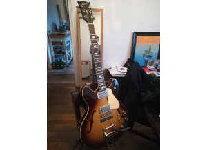 Gibson ES-335 CRS 1979
