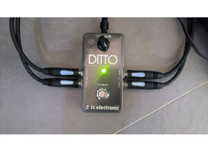 TC Electronic Ditto Stereo Looper (91486)