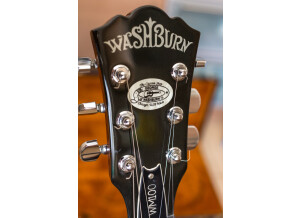 Washburn WM100