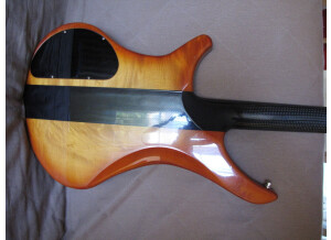 Vigier passion carbone