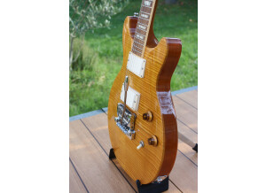 Gibson Les Paul Standard DC Lite (67789)