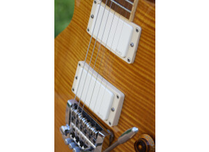 Gibson Les Paul Standard DC Lite (71109)