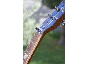 Gibson Les Paul Standard DC Lite (63027)