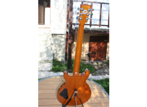 Gibson Les Paul Standard DC Lite (40510)