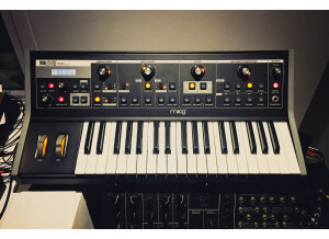 Moog Music Taurus