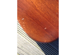 Epiphone Thunderbird Pro-IV (17256)