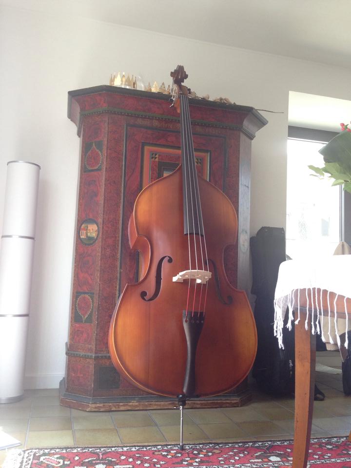 Hora Student Rhapsodie all solid flat back